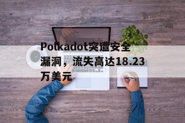 Polkadot突遭安全漏洞，流失高达18.23万美元-九游娱乐