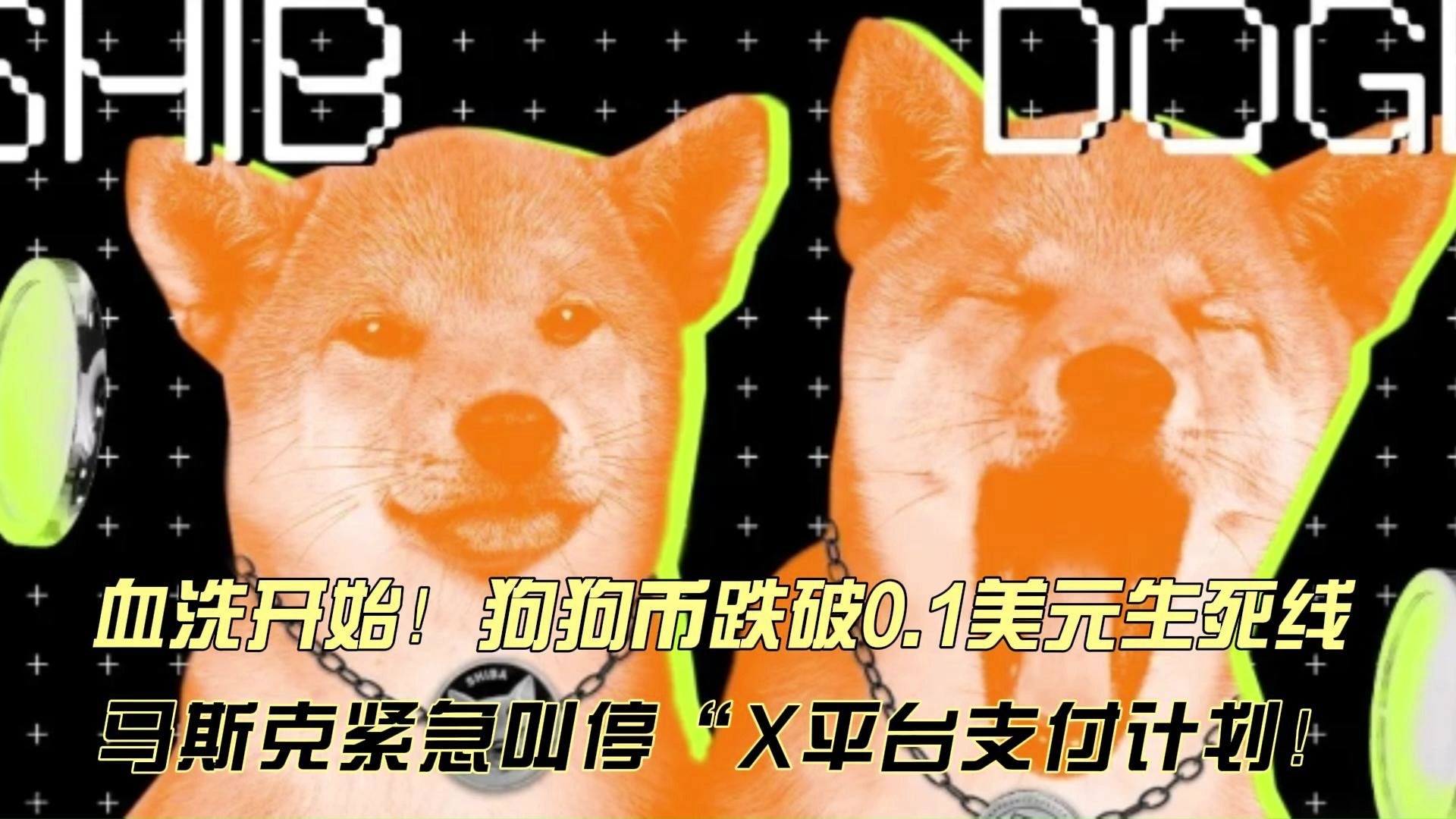 马斯克再次发推，狗狗币瞬间上上扬5.32%的简单介绍